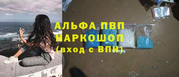 Альфа ПВП Гусев