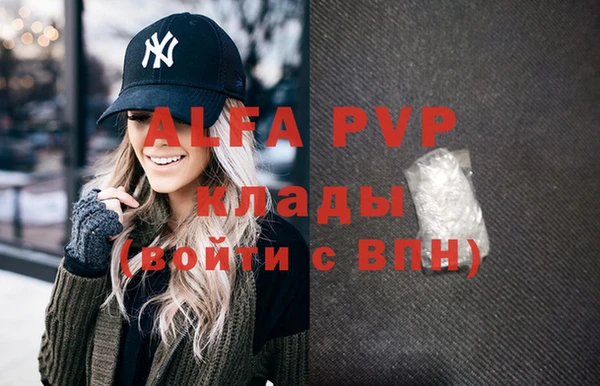 Альфа ПВП Гусев