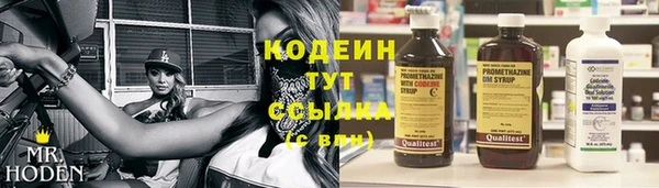 винт Гусь-Хрустальный
