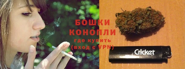 винт Гусь-Хрустальный