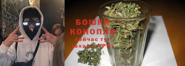 винт Гусь-Хрустальный