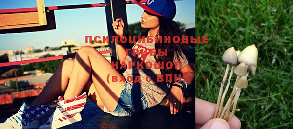 винт Гусь-Хрустальный