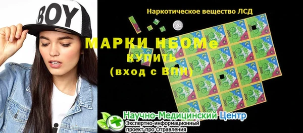 Альфа ПВП Гусев