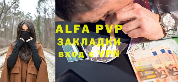 Альфа ПВП Гусев