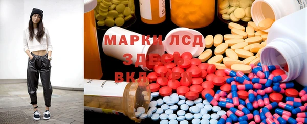 Альфа ПВП Гусев