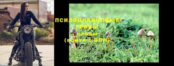 каннабис Гусиноозёрск